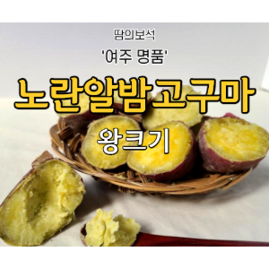 -노란알밤고구마-  왕크기(개당 중량 270g이상 ) / 5KG, 10KG